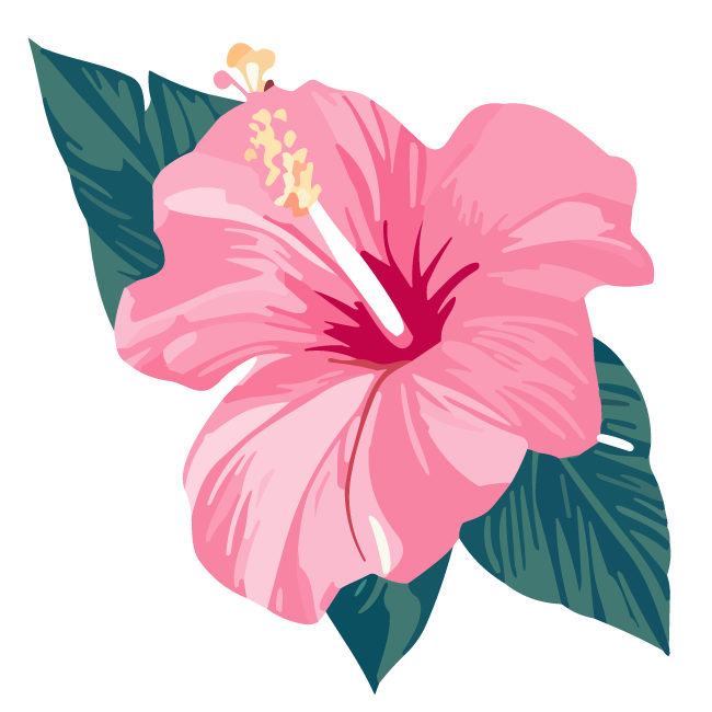 石垣島のオープンカー